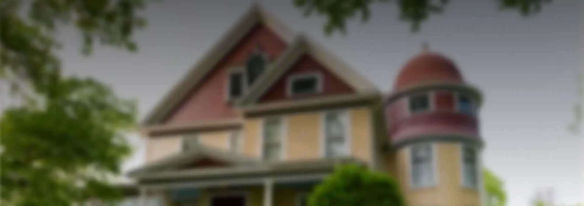 Banner Image
